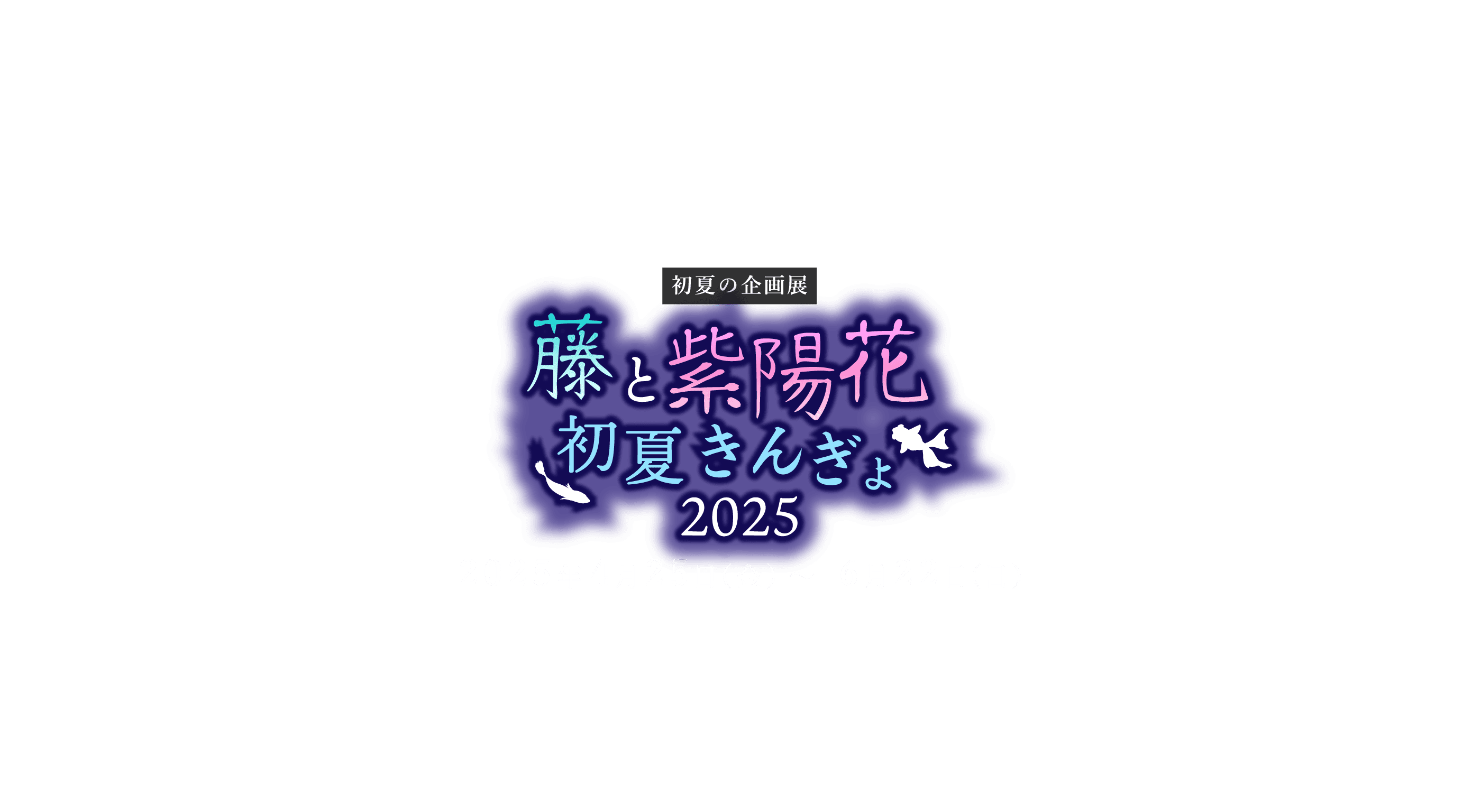 藤と紫陽花初夏きんぎょ2025 開催期間：2025年4月25日（金）～2025年6月22日（日）