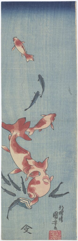 浮世絵 金魚と鯉 - アートアクアリウム