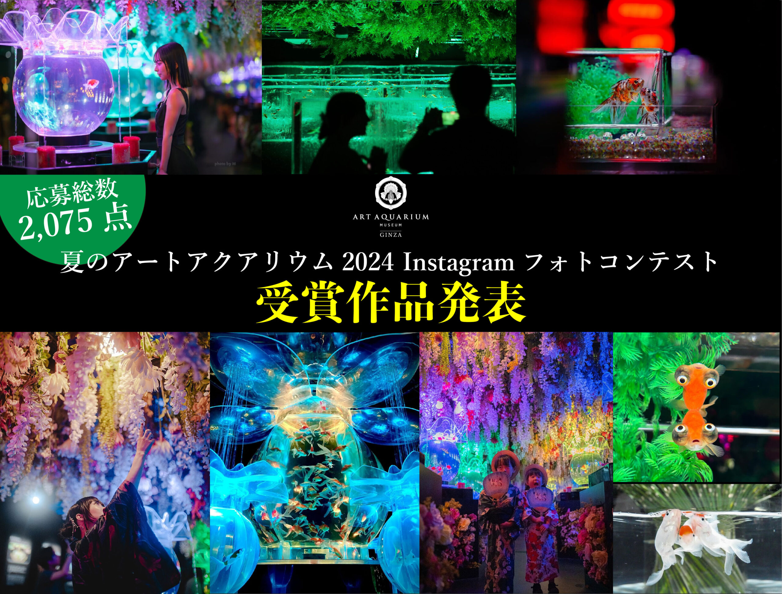映える、撮る、好きになる！】夏のアートアクアリウム2024 フォト 