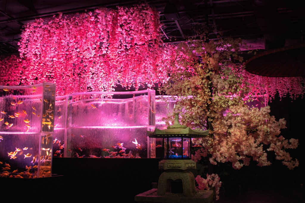 銀座のさくら空間、はじまる アートアクアリウム美術館が桜咲く春の 
