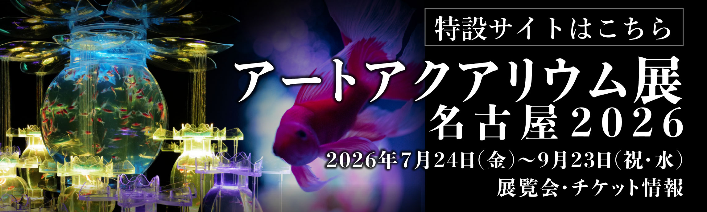 アートアクアリウム | ART AQUARIUM