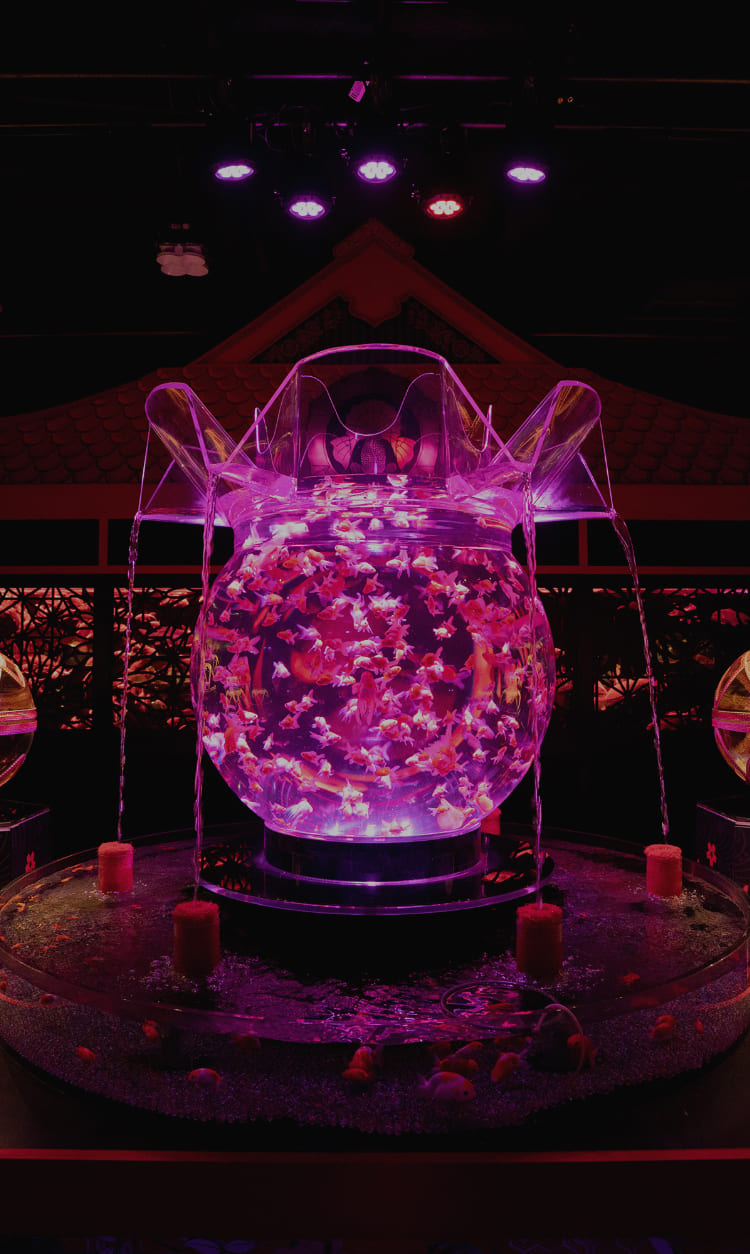 アートアクアリウム Art Aquarium アートアクアリウム Art Aquarium