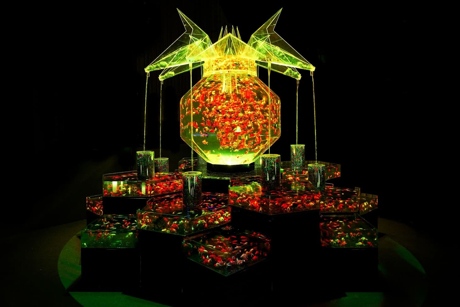 所蔵作品集 アートアクアリウム公式サイト