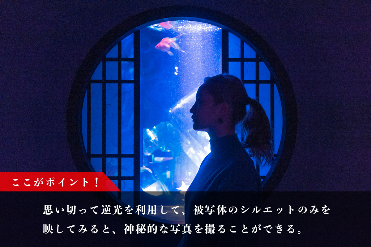 カメラで楽しむ 人物撮り編 アートアクアリウム公式サイト カメラで楽しむ 人物撮り編 アートアクアリウム公式サイト